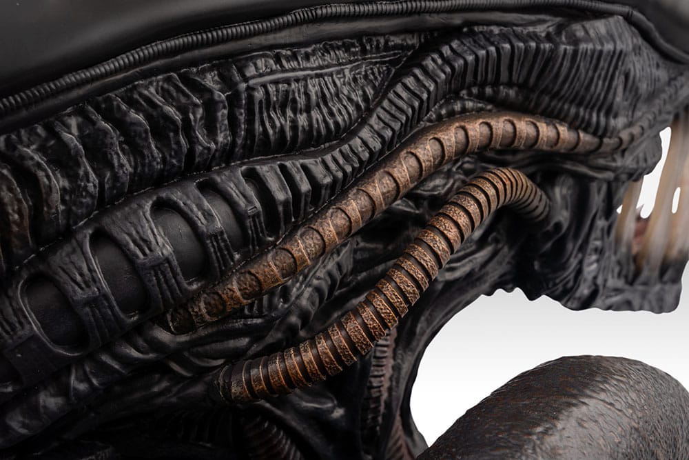Alien Romulus Busto 1/1 Xenomorph 53 cm