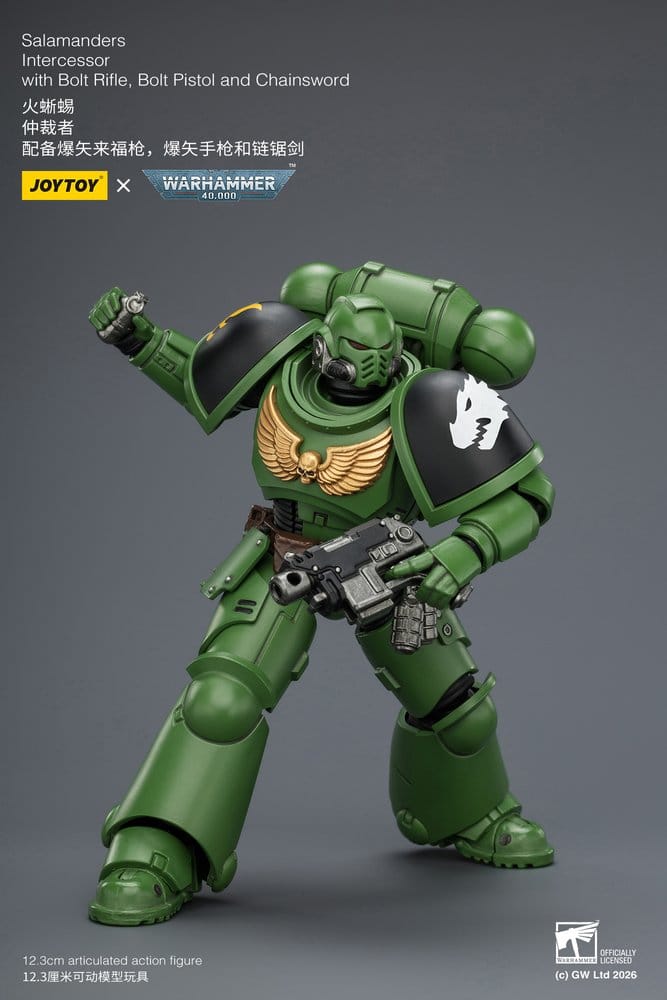 Warhammer 40,000 Figura Salamanders Intercessor 12 cm