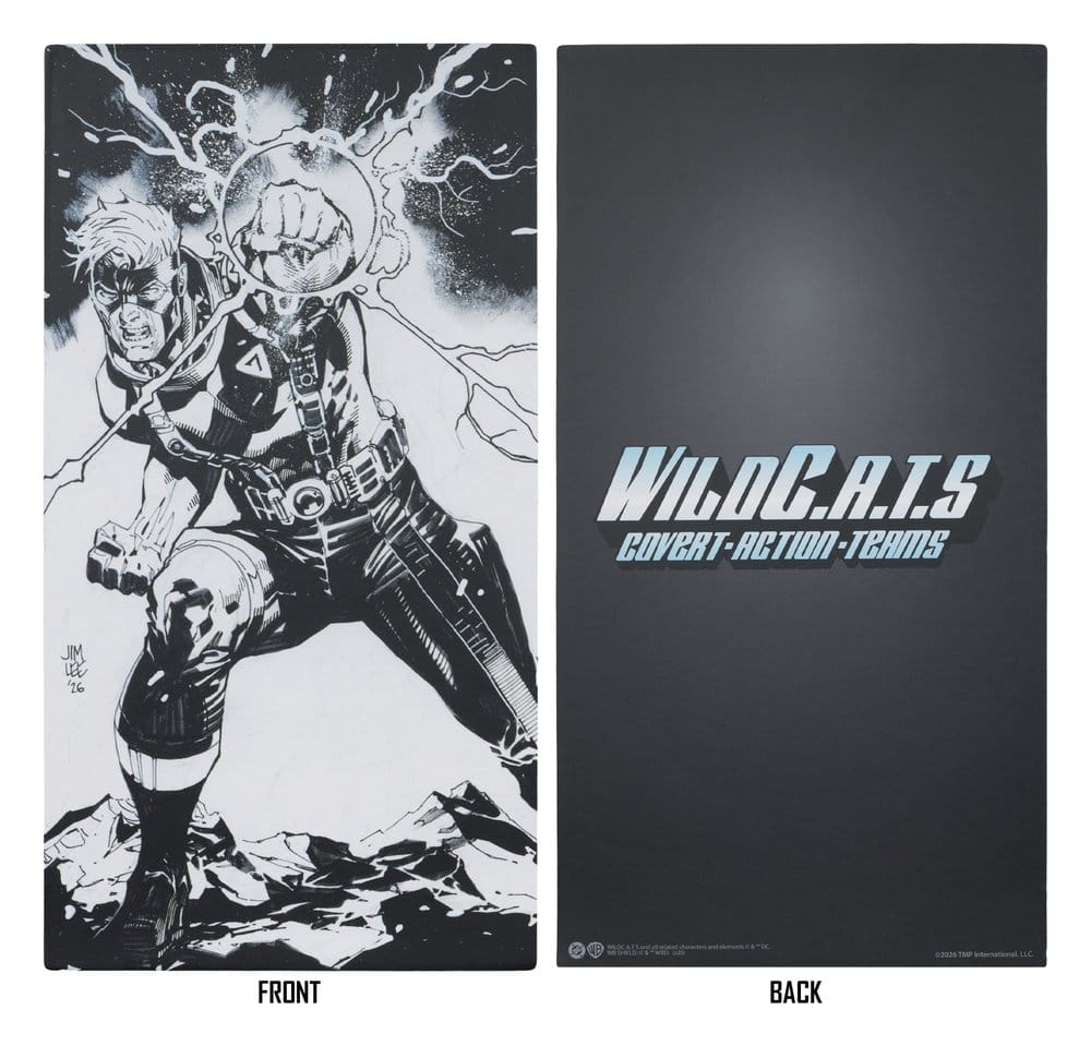 WildC.A.T.S Elite Edition Image Comic Founders Series Deluxe Figura Spartan 19 cm
