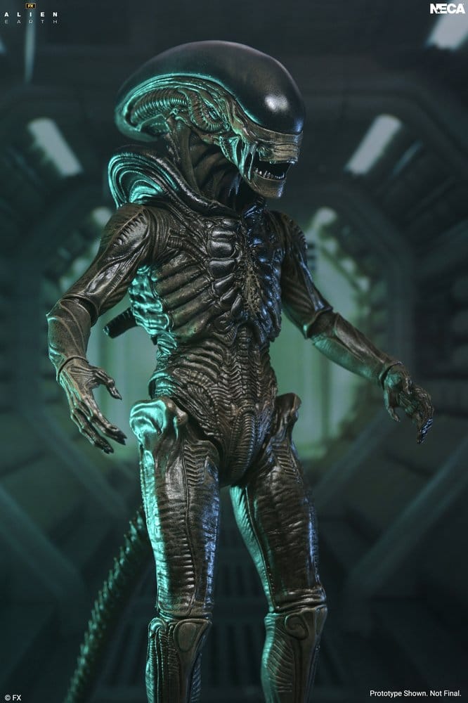 Alien: Earth Ultimate Figura Xenomorph 18 cm