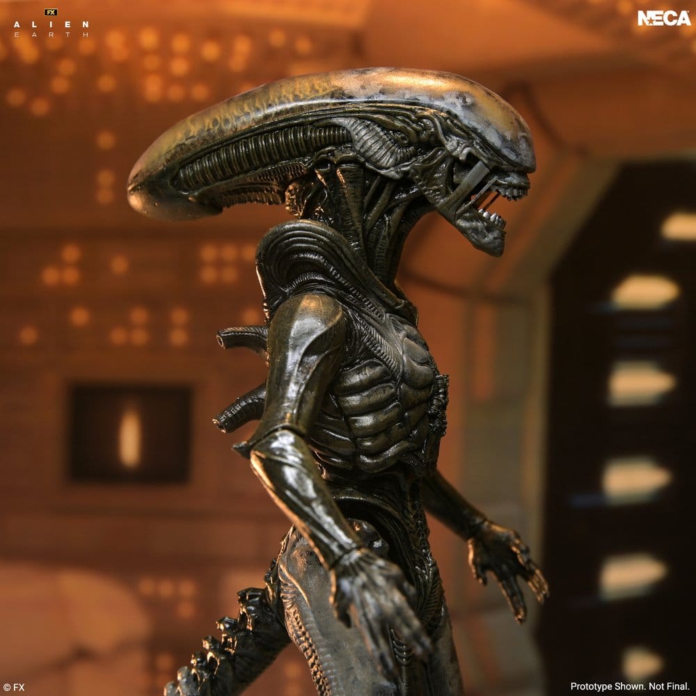 Alien: Earth Ultimate Figura Wendy's Xenomorph 18 cm