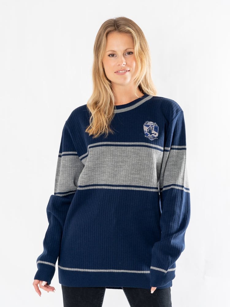 Harry Potter Sudadera Ravenclaw Talla XXL