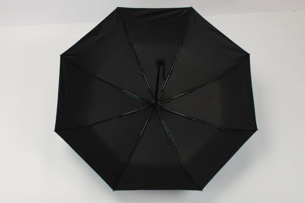 Os Diários da Boticária Guarda-chuva