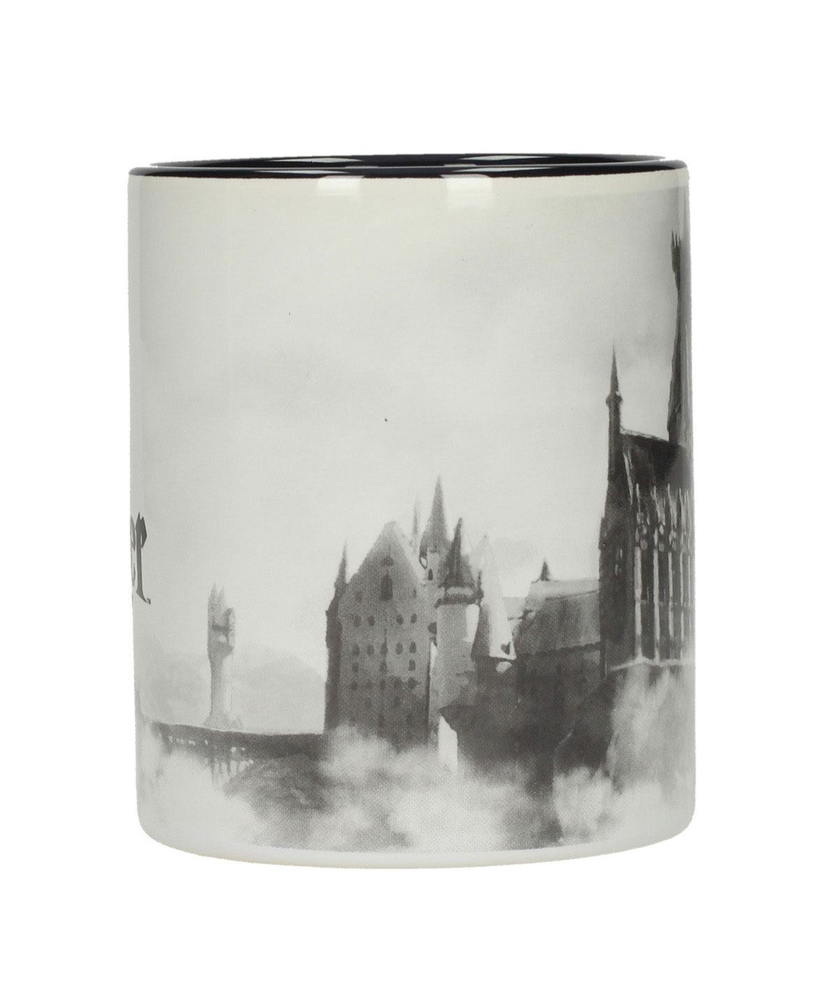 Taza castillo Hogwarts Harry Potter
