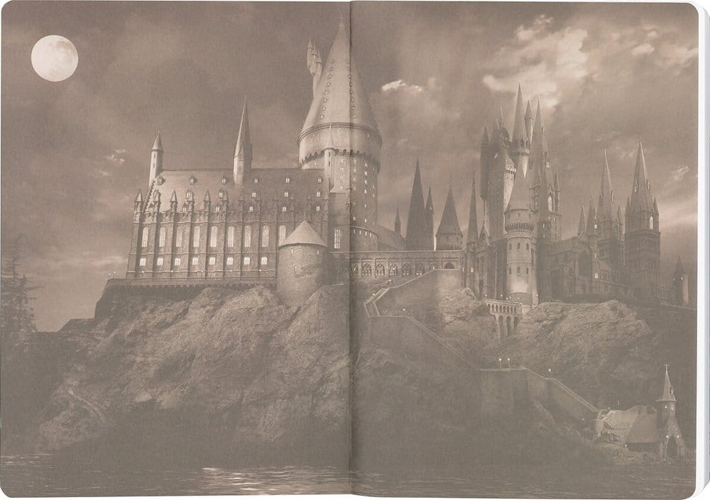 Harry Potter Cuaderno Tapa Blanda Hufflepuff 21 cm