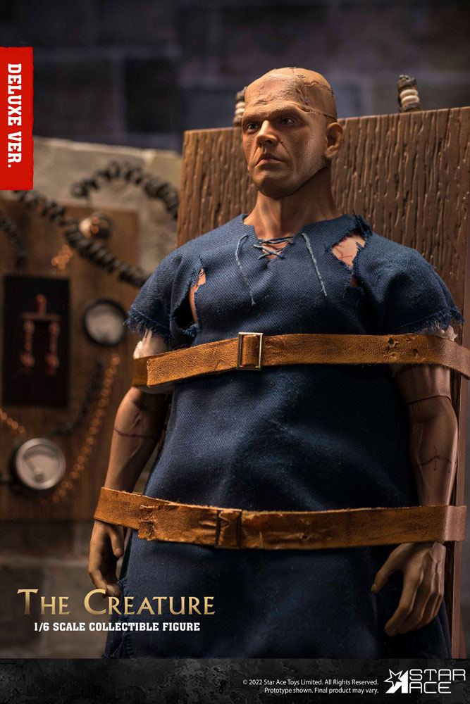 O Horror de Frankenstein My Favourite Movie Figura 1/6 The Creature Deluxe Version 30 cm