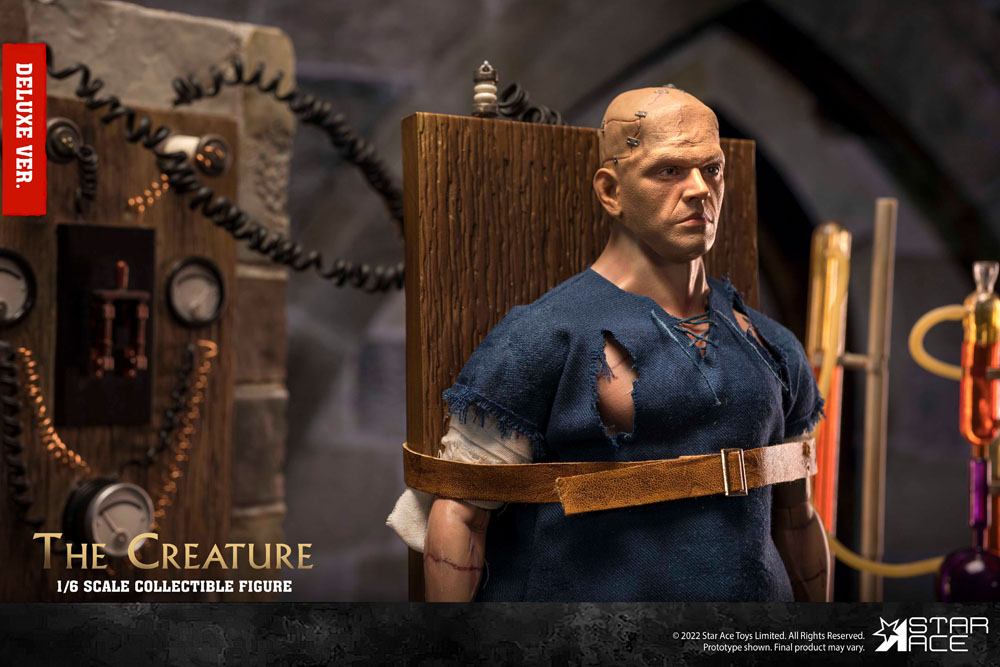 O Horror de Frankenstein My Favourite Movie Figura 1/6 The Creature Deluxe Version 30 cm
