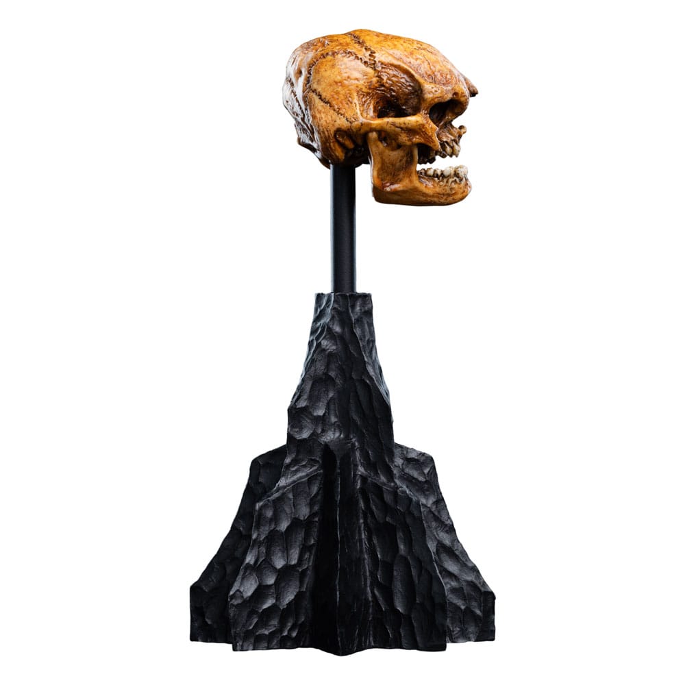 El Señor de los Anillos Estatua Skull of a Misty Mountain Goblin 14 cm