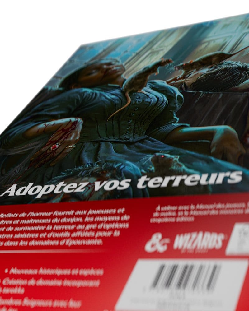 Dungeons & Dragons RPG Ravenloft: Les Reflets de l'Horreur Livro *Edição Francesa*